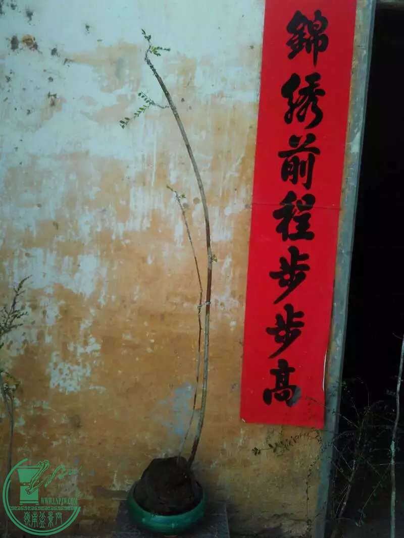 4180