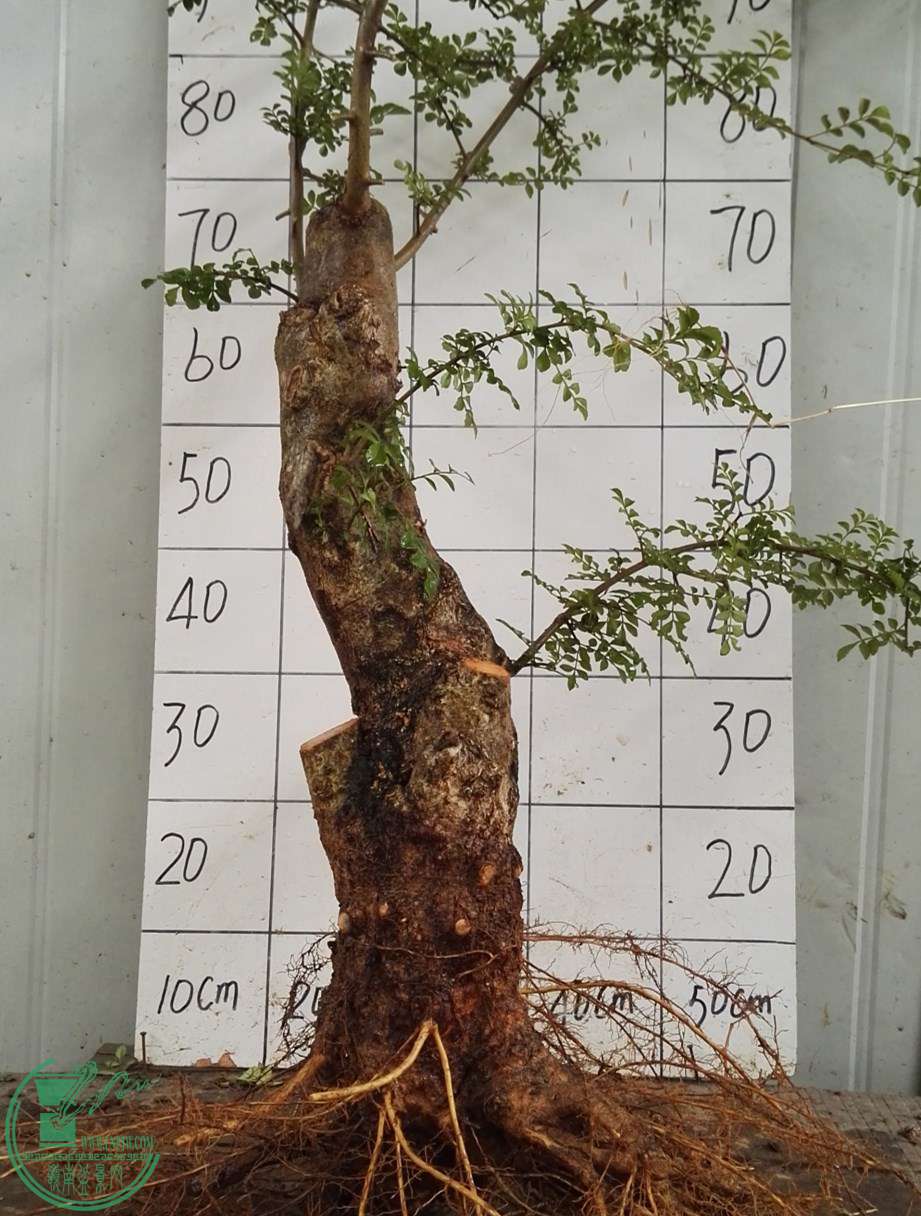 2ŶԽ130