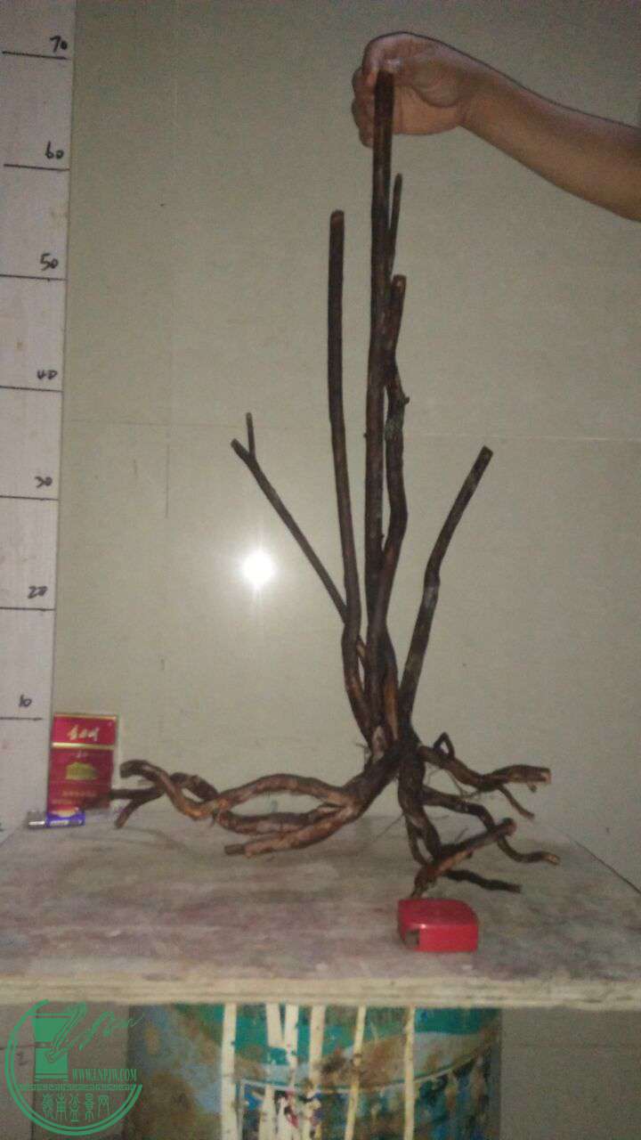 QQͼƬ20161002193346.jpg