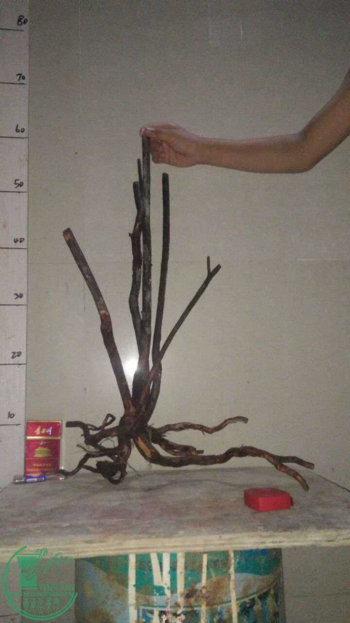 QQͼƬ20161002193352.jpg
