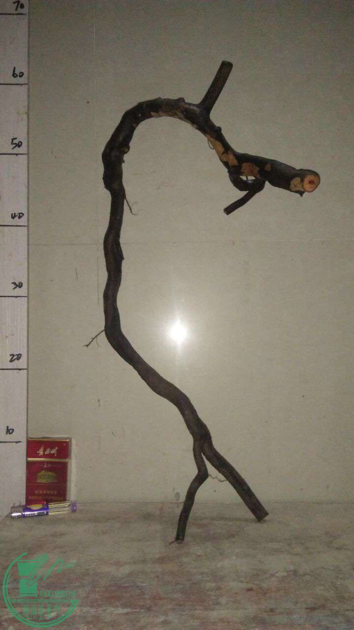 QQͼƬ20161002193330.jpg