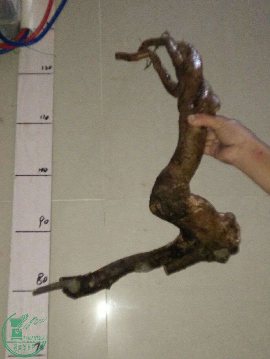 QQͼƬ20161003193527.jpg