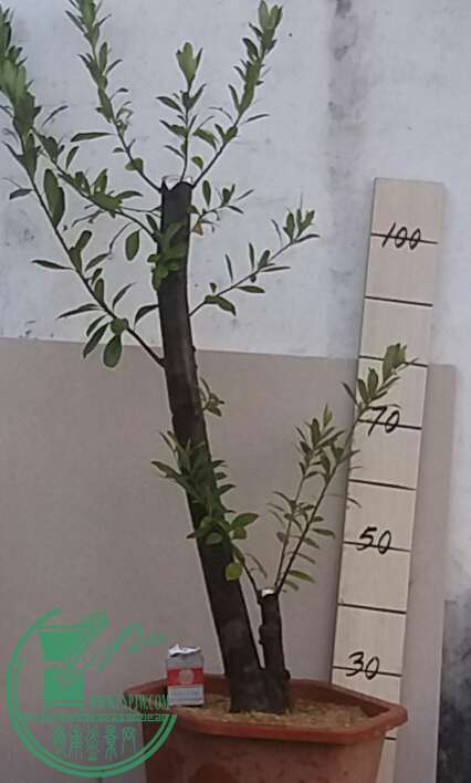 20161003_173652-1.jpg