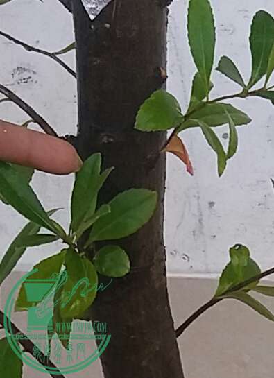 20161003_173754-1.jpg