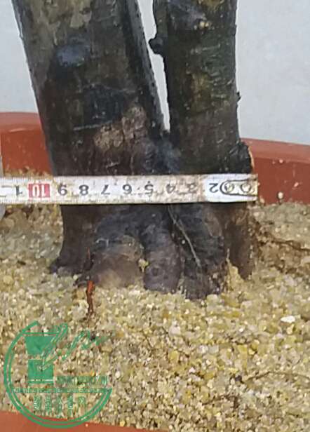 20161003_173712-1.jpg