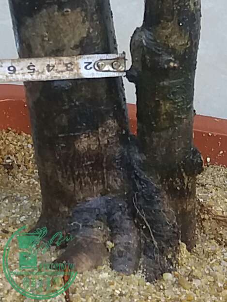 20161003_173727-1.jpg