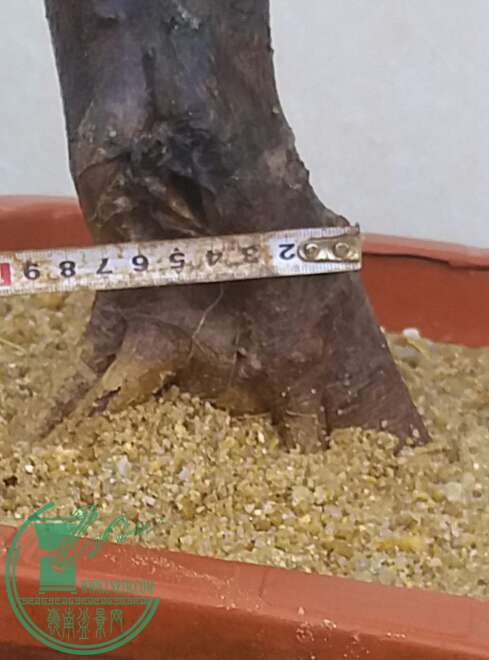 20161003_172916-1.jpg