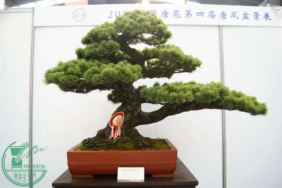 psb410K1KMV.jpg