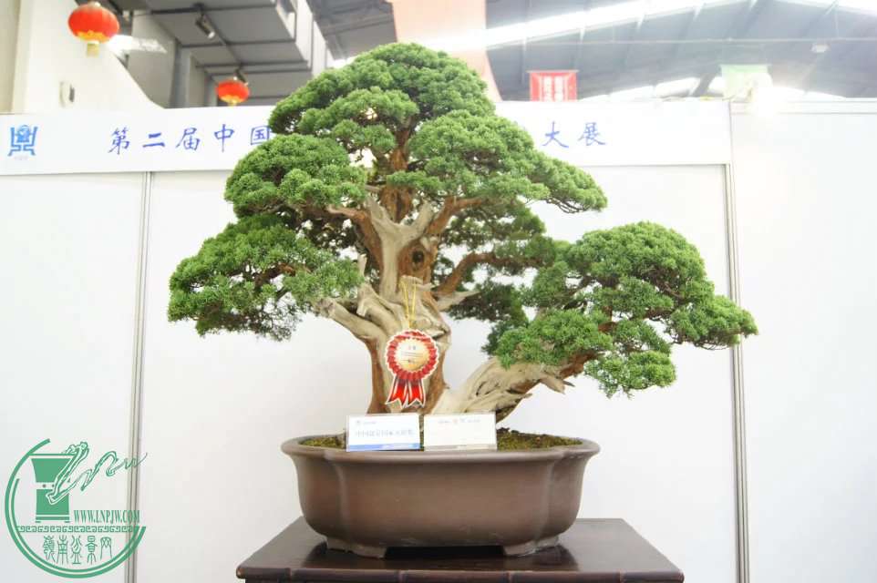 psbN475PGO8.jpg