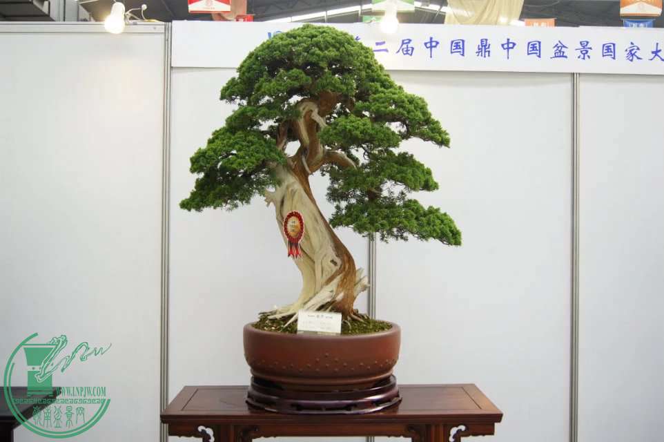 psbRF9MN97E.jpg