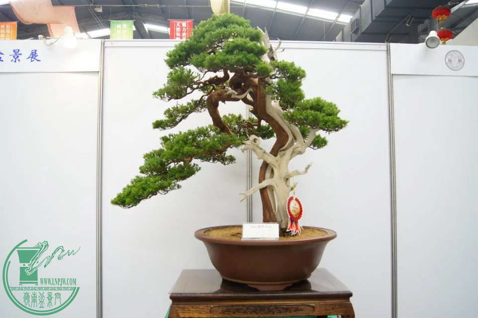 psbYF26NCOK.jpg