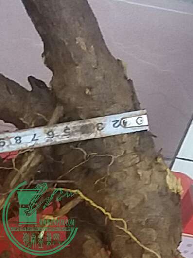 20161004_180316-1.jpg