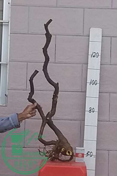 20161004_180259-1.jpg