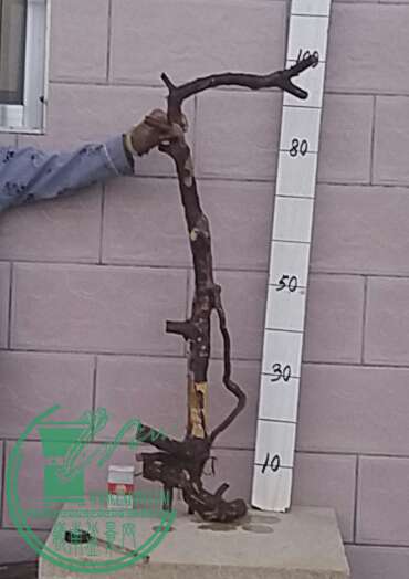 20161004_175337-1.jpg