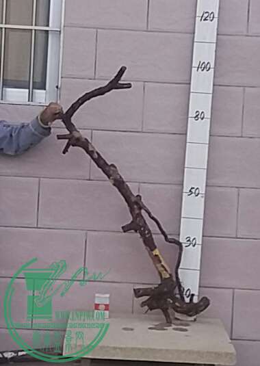 20161004_175249-1.jpg