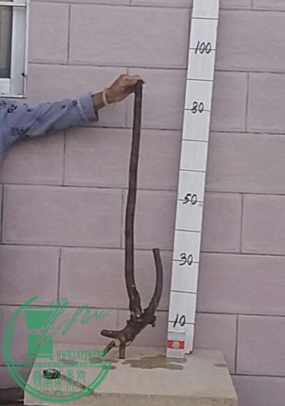 20161004_175520-1.jpg