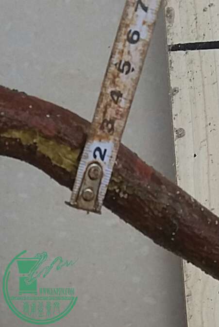 20161003_163259-1.jpg