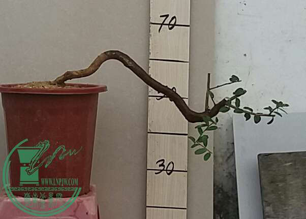 20161003_163527-1.jpg