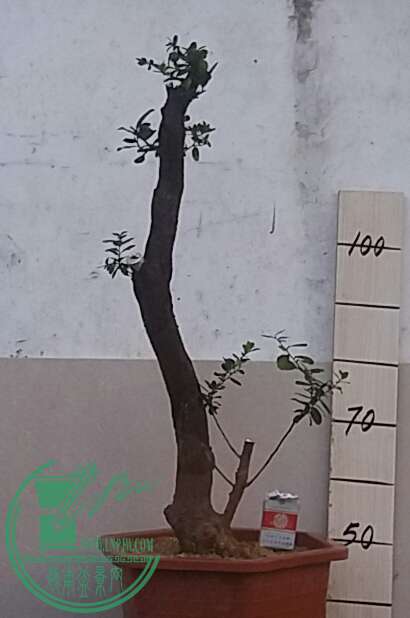 20161003_180435-1.jpg