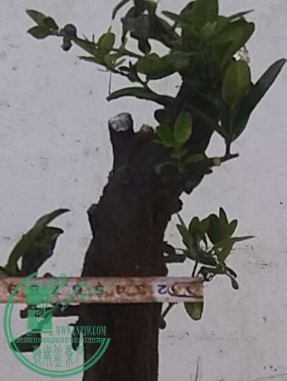 20161003_180518-1.jpg