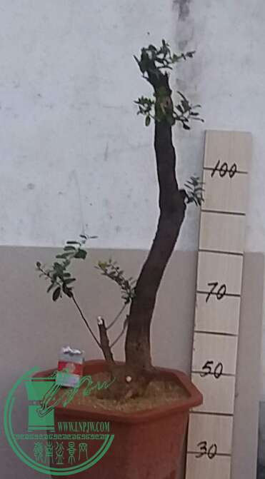 20161003_180650-1.jpg