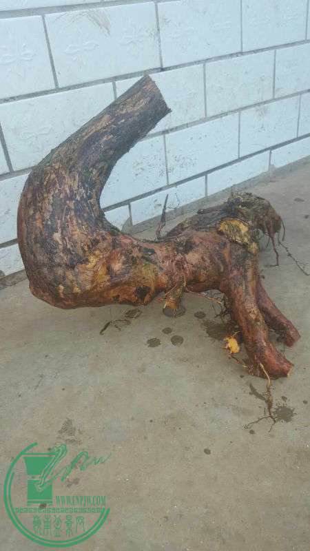 823190