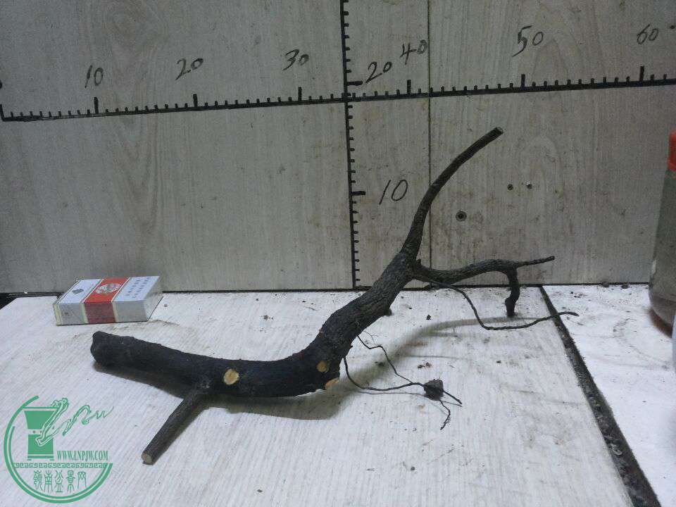 QQͼƬ20161005201923.jpg