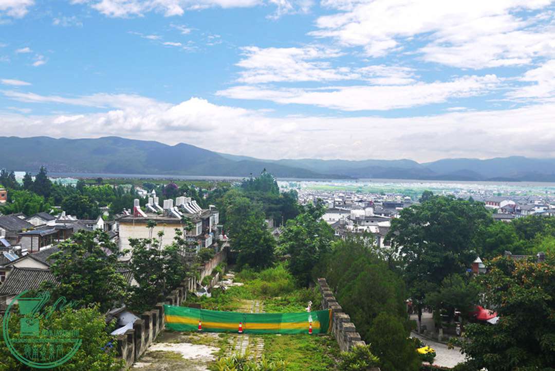 P1080069.jpg