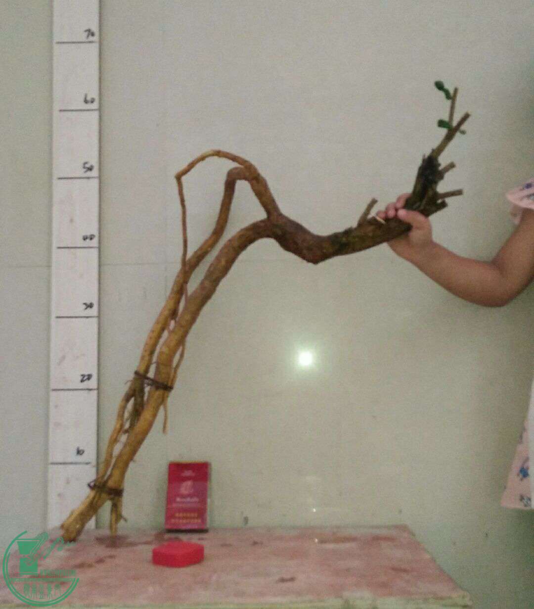 QQͼƬ20161007191639.jpg