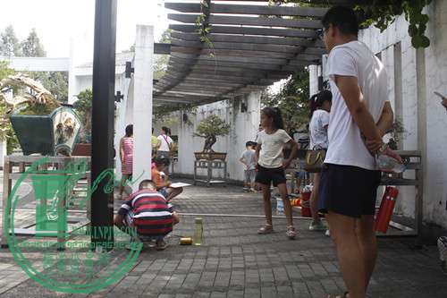 _MG_7037.JPG