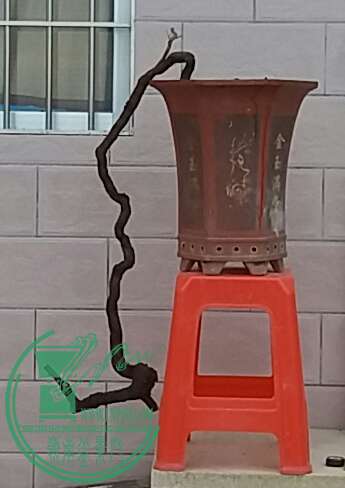 20161008_175739-1.jpg