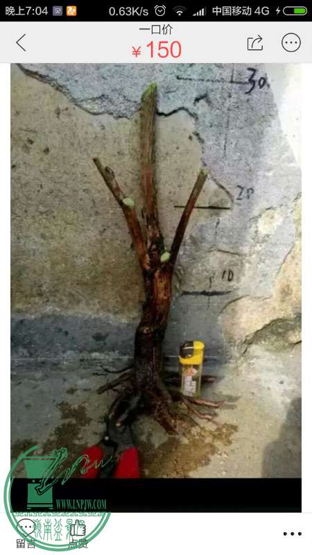 824280