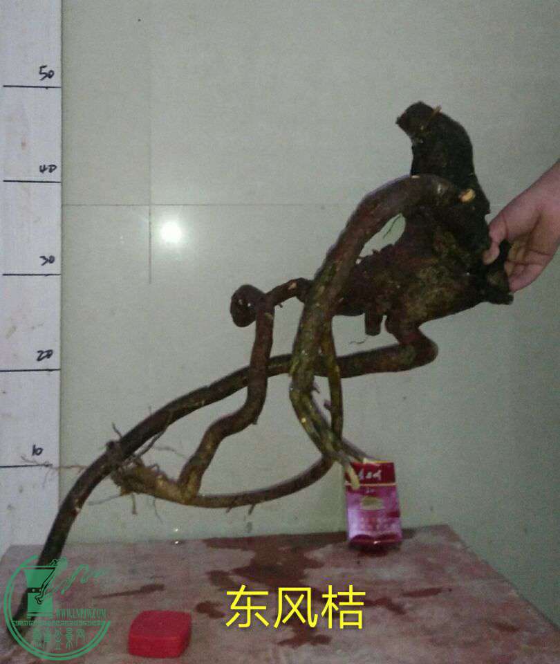 QQͼƬ20161009192006.jpg