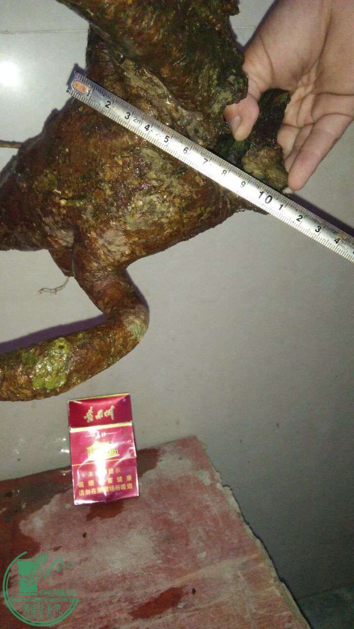 QQͼƬ20161009192052.jpg