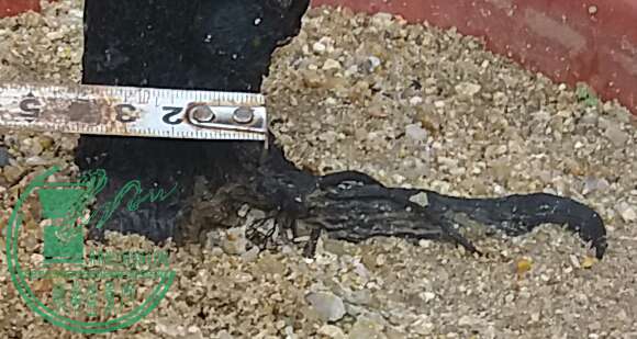 20161009_172012-1.jpg