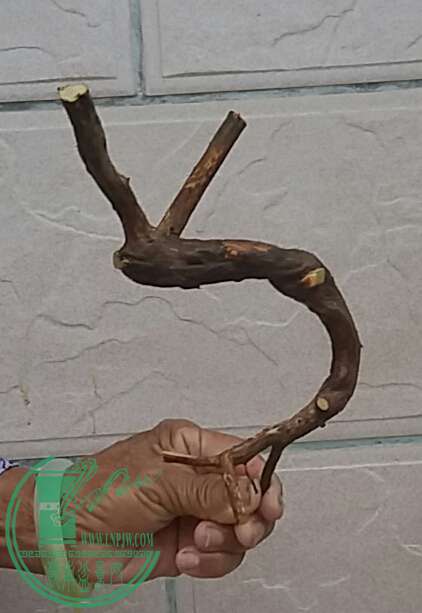 20161009_172725-1.jpg