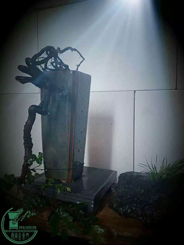 1476085188737.jpeg
