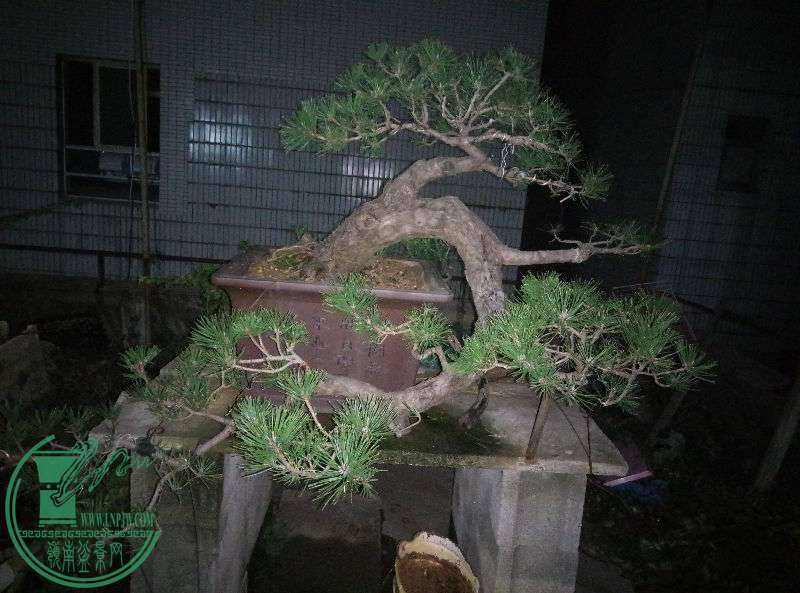 824749