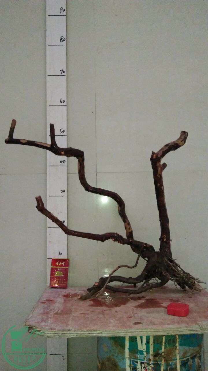 QQͼƬ20161010191734.jpg