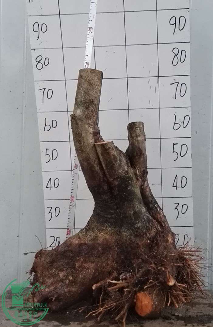 2ŶԽ580
