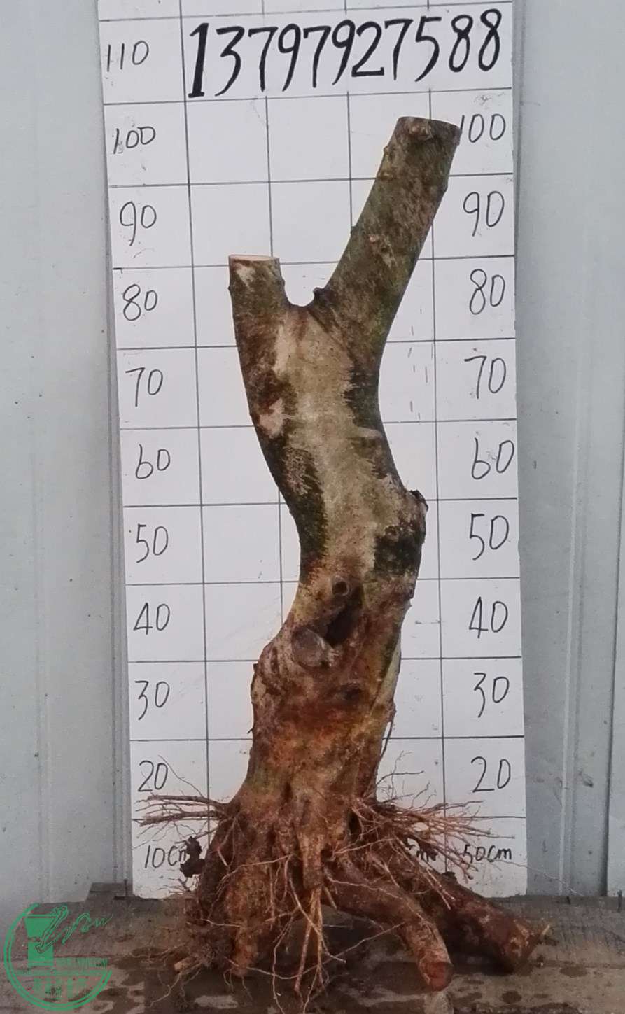 3ŶԽ380