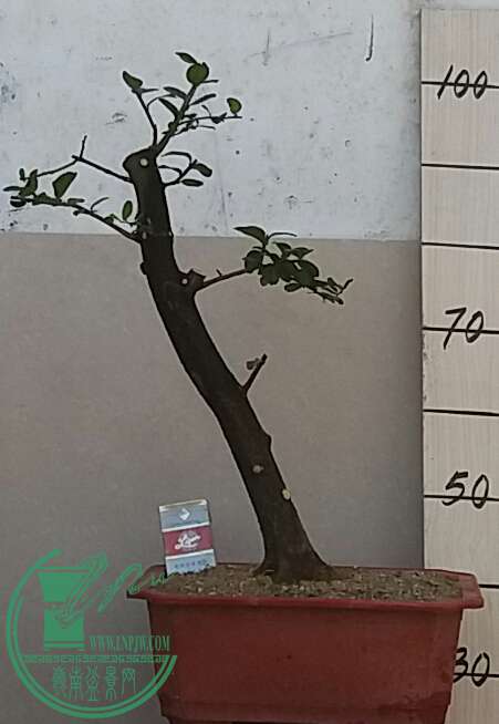 20161011_112435-1.jpg