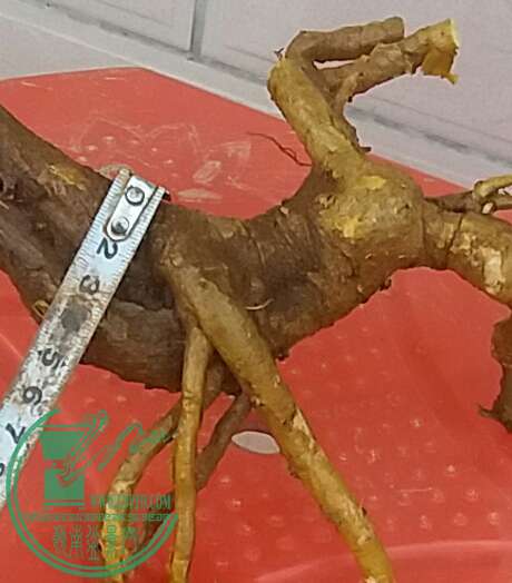 20161012_180303-1.jpg