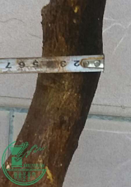 20161012_175530-1.jpg