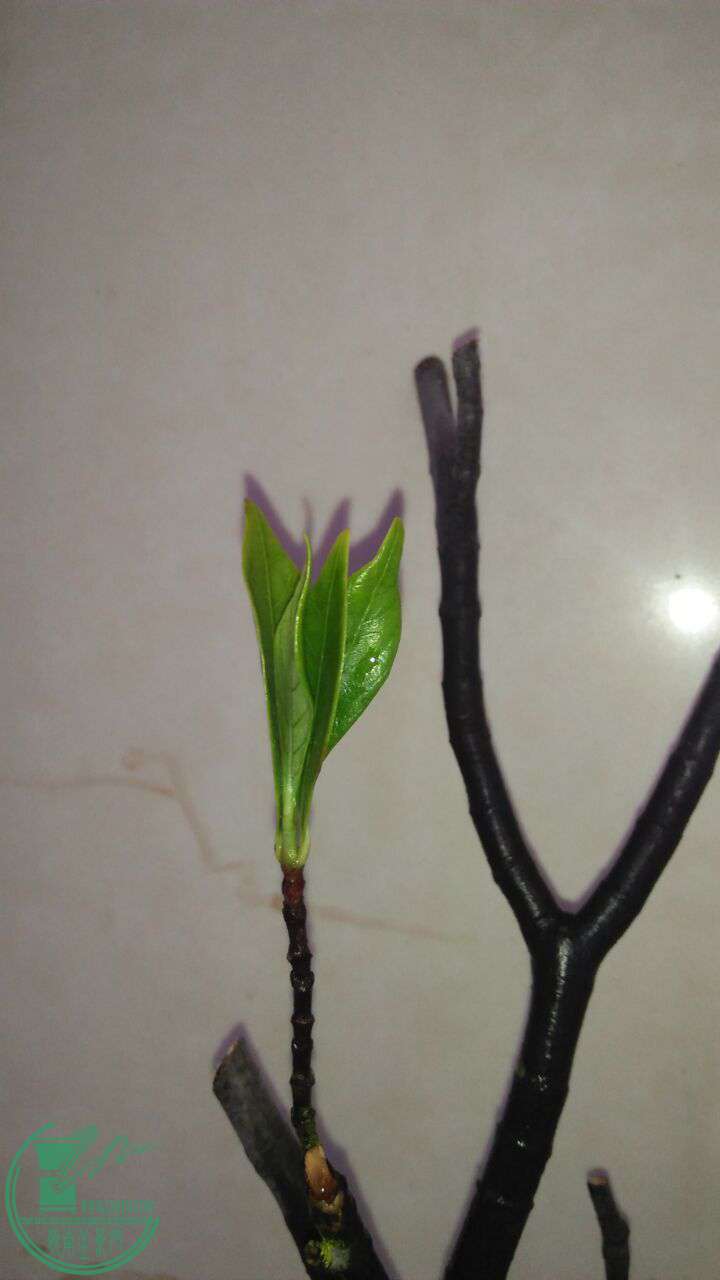 QQͼƬ20161012200713.jpg
