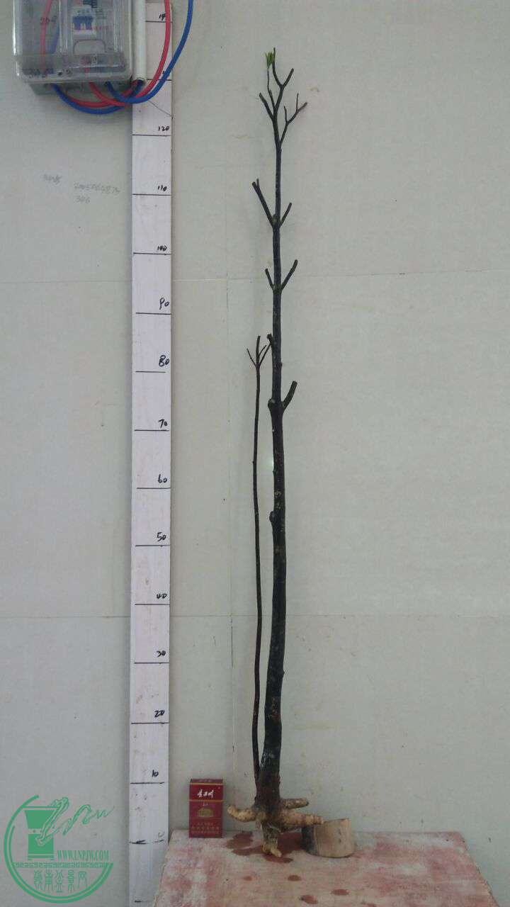 QQͼƬ20161012200706.jpg