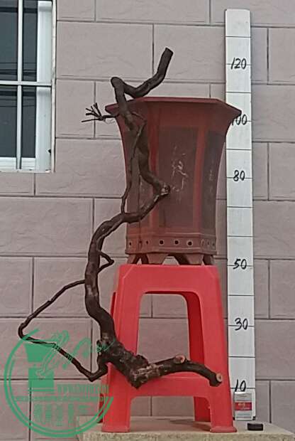 20161013_173231-1.jpg