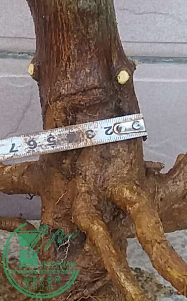 20161013_172121-1.jpg