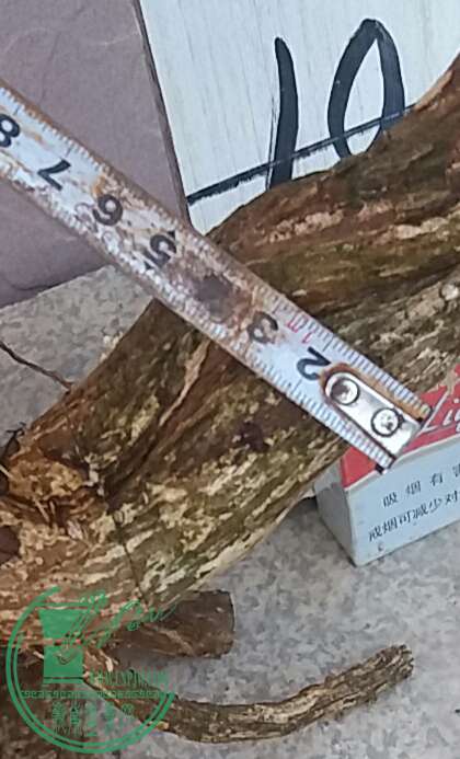 20161013_172807-1.jpg
