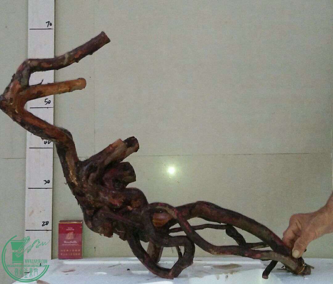 QQͼƬ20161014191221.jpg